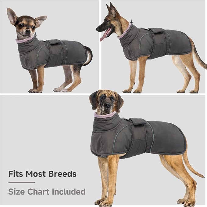 Dog Winter Coat for Small to Large Dogs(XS-XXXL)– Waterproof Windproof Fleece Lined Jacket with Reflective Trim,Pet Vest with Adjustable Buckles, Machine Washable Grey M