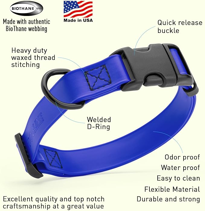 Dogline Durable Biothane Waterproof Collar for Dogs - Odor-Resistant Coated Webbing, Quick-Release Design, Comfortable Adjustable Fit, 3/4" W by 12-19" L, Blueberry Royal