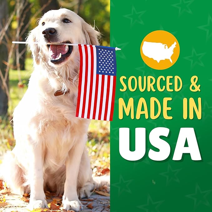 Chicken & Carrot Chips Dog Treats – Made in USA, 100% Chicken Jerky, Grain-Free, High Protein, Single Ingredient, Crispy & Healthy Training Snacks for Dogs – 6 oz Jar
