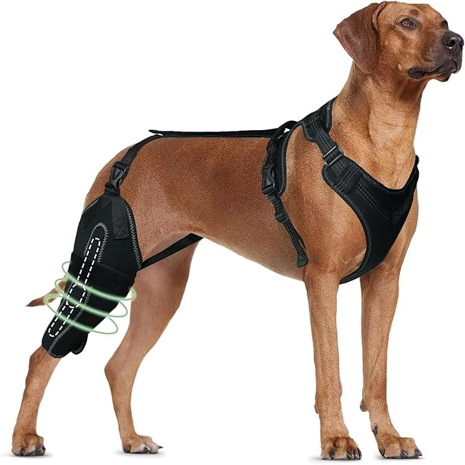 Dog Knee Brace for ACL/CCL Injuries,Torn Ligament,Luxating Patella - Rear Leg Support,Pain Relief,Joint Warmth,Right Legs,Black,Size:XL