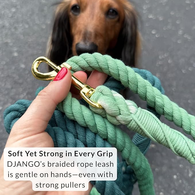 DJANGO Cotton Rope Dog Leash 5ft – Handcrafted Dog Leash and Green Braided Leash for Small, Medium, Large Dogs – Durable 5 Foot Training Lead with Gold Hardware and Whipped Ends – Forest Green Ombre
