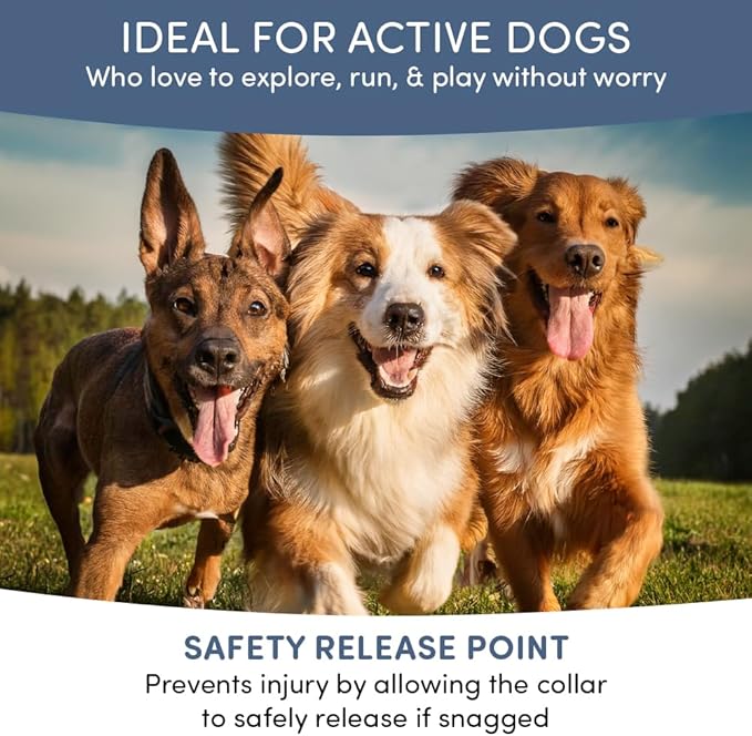 Flea and Tick Prevention for Dogs and Cats - All Natural 8-Month Flea Collar for Dogs, Effective Dog Flea & Tick Control, Chemical-Free Flea Collars, No Pesticides