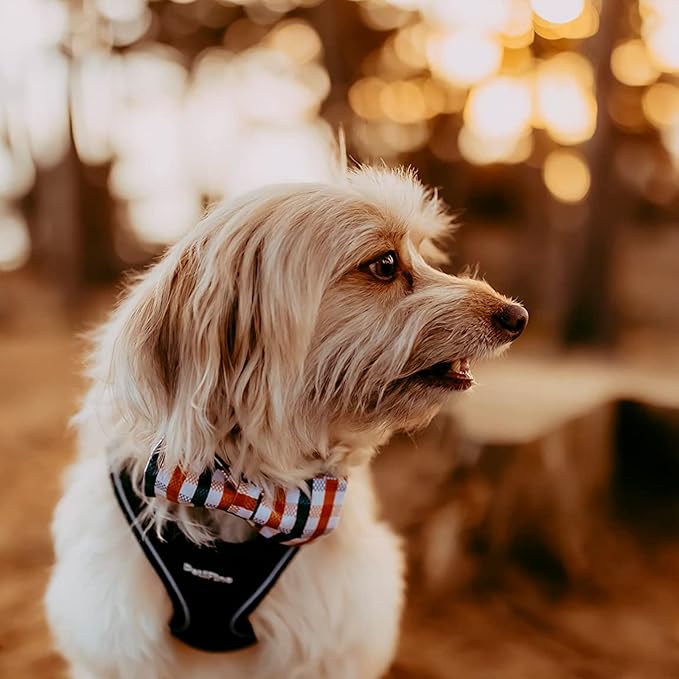 Lionheart glory Plaid Dog Collars Bowtie Dog Collar Heavy Duty Adjustable Fall Dog Collar for Medium Dogs Collar Dog Bow Male Dog Collar