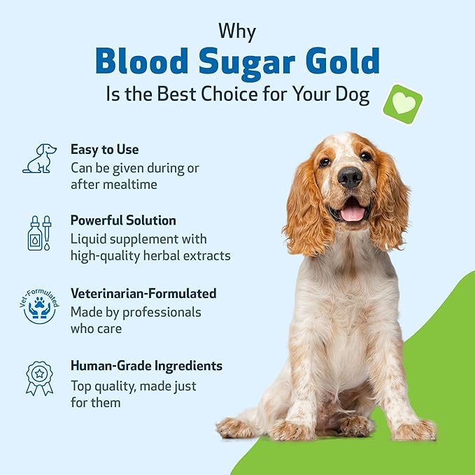 Pet Wellbeing Blood Sugar Gold Dogs - Holistic Blood Sugar Support, Pancreas & Liver Health, Gymnema, Fenugreek & Devil’s Club - NASC Certified & Vet-Formulated - 2 oz Liquid