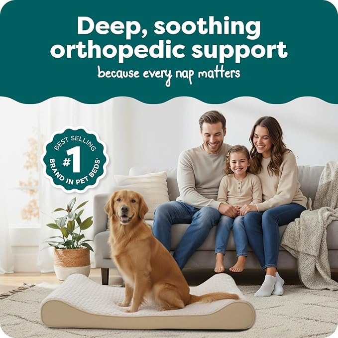 FurHaven Orthopedic Dog Bed for X-Large Dogs, Luxe Lounger Contour Mattress with Medical-Grade Solid Orthopedic Foam for Joint Support, Removable Washable Cover, Jumbo/XL, Plush Suede, Cream