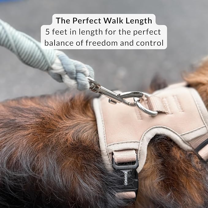 DJANGO Cotton Rope Dog Leash 5ft – Handcrafted Dog Leash and Black Ombre Braided Leash for Small, Medium, and Large Dogs – Stylish Durable 5 Foot Training Lead with Silver Hardware – Poppy Seed Gray