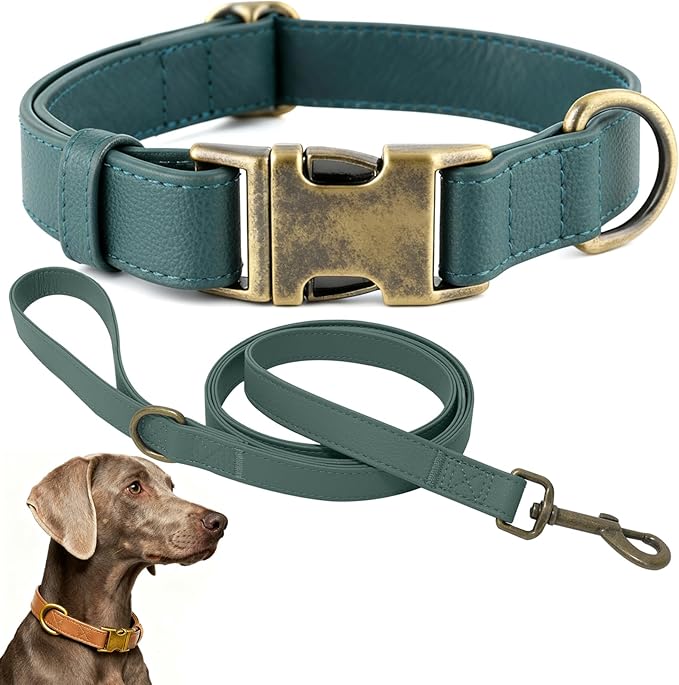 Silicone Dog Collar and Leash Set, Waterproof & Odor-Proof Puppy Collar for Large Dogs, Soft Flexible Leather-Look Dog Collars, Durable Thick Adjustable Pet Collar (Green, Large (14.5-24" Neck))