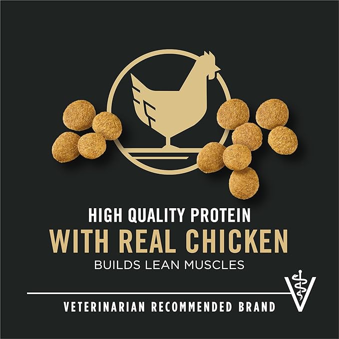Purina Pro Plan Large Breed Dry Puppy Food, Chicken and Rice Formula - 47 lb. Bag