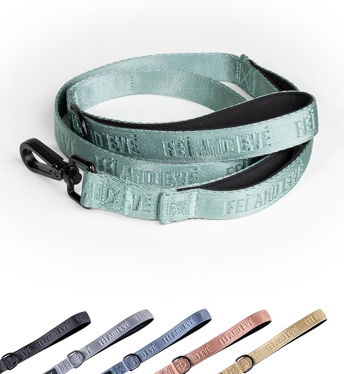 2025 New Edition, Fei & Eve Classic Dog Leash - 4FT, Dual Padded Handles, 360° Swivel Hook, Heavy Duty 210D Nylon - No-Pull Design with Traffic Control Handle - for Small/Medium/Large Dogs, Green