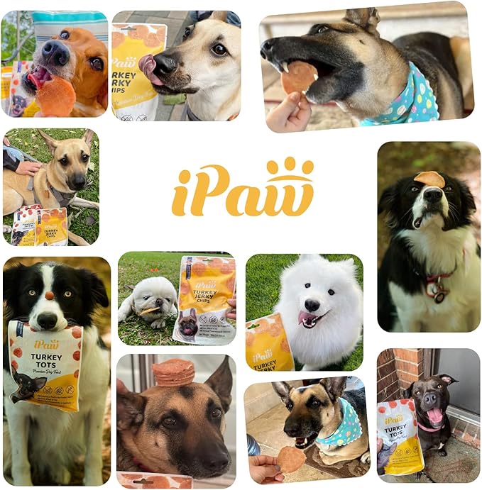 iPaw Chicken Chips Dog Treats for Puppy Training, All Natural Human Grade Dog Treat, Hypoallergenic, Easy to Digest (Chicken Chips)