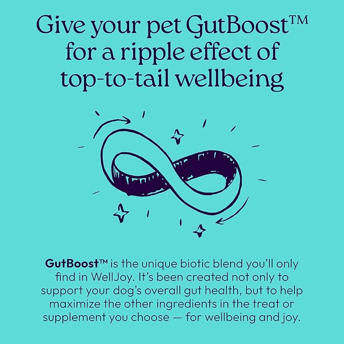 New! WellJoy Dog Treat Joint+ GutBoost | Glucosamine | Healthy Joints & Cartilage | Dual-Benefit GutBoost Formulation | Vet Formulated | Made in USA | Made with Real Shredded Chicken | 30 Soft Chews