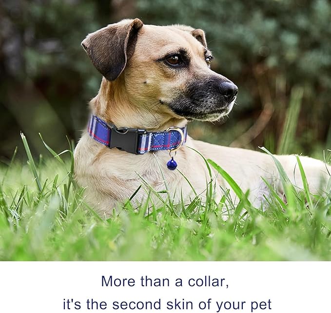 Cute Plaid Dog Collar Harness and Leash with Safety Buckle - Adjustable and No Pull Comfortable Dog Collars for Small Puppy, Stylish Durable Gift for Boy Girl Pets