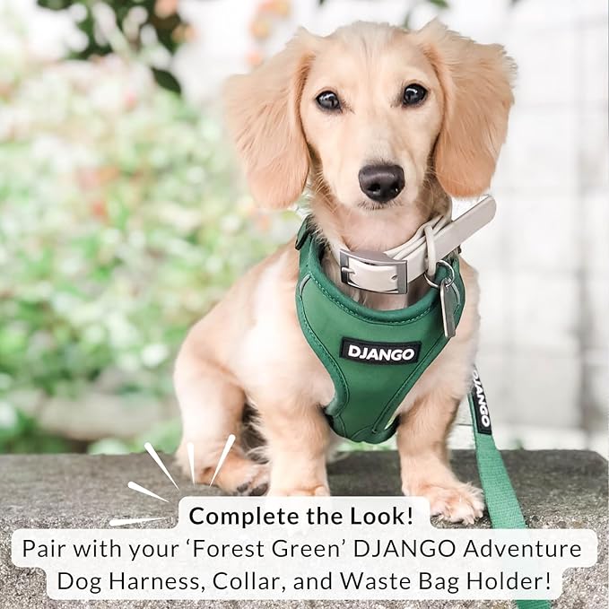 DJANGO Cotton Rope Dog Leash 5ft – Handcrafted Dog Leash and Green Braided Leash for Small, Medium, Large Dogs – Durable 5 Foot Training Lead with Gold Hardware and Whipped Ends – Forest Green Ombre