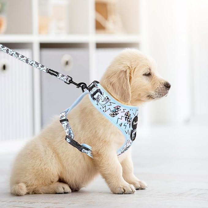 Petmolico Dog Harness and Leash Set Soft Mesh Small Dog Harnesses Vest No Pull Dog Vest Puppy Harness and Leash Set Training(Blue, Medium)