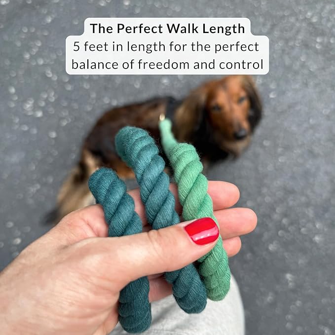 DJANGO Cotton Rope Dog Leash 5ft – Handcrafted Dog Leash and Green Braided Leash for Small, Medium, Large Dogs – Durable 5 Foot Training Lead with Gold Hardware and Whipped Ends – Forest Green Ombre