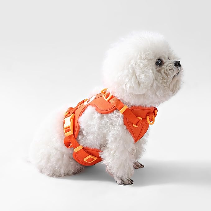 HNS1001A Arlo Small Adjustable Soft Padded No Pull Pet Harness with 3 Buckles and 3 Leash Clips, Aperol