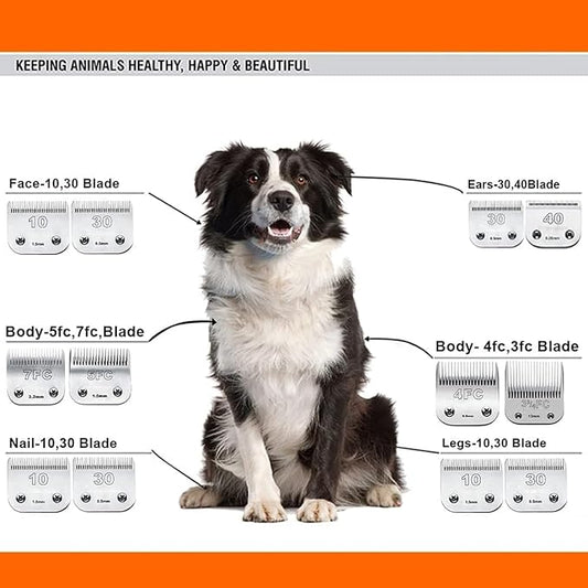 5PACK Dog Grooming Clipper Replacement Blades Compatible with Andis Pet Clipper/Oster A5/Wahl KM Series Dog Clipper with Ceramic Blade & Stainless Steel Blade (#10+5FC+7FC+3FC+4FC)