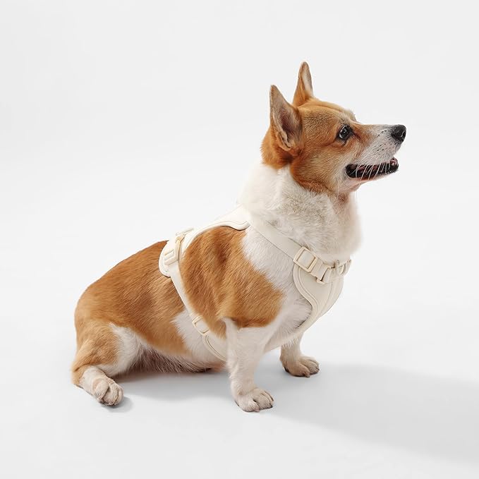 HNS1002L Arlo Medium Adjustable Soft Padded No Pull Pet Harness with 3 Buckles and 3 Leash Clips, Bailey