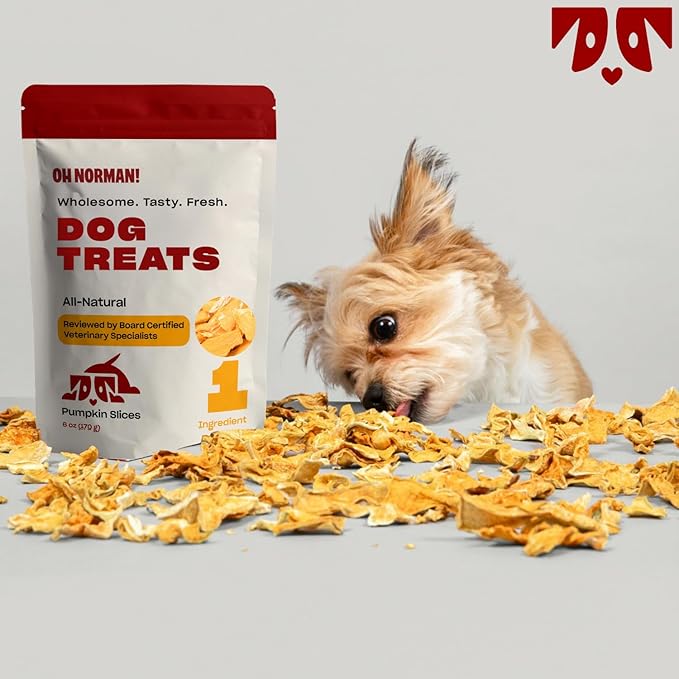 OH NORMAN! Single Ingredient Pumpkin Dog Treats by Kaley Cuoco, Healthy Dog Treats for All Life Stages and Breeds, Air Dried, Ethically Sourced in Canada, 6 Oz