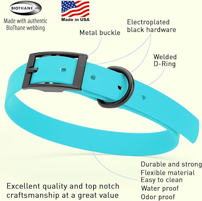 Dogline Biothane Coated Webbing Dog Collar with Black Metal Hardware: Durable Easy-Clean Everyday Collar for Dogs - Comfortable Adjustable Odor-Resistant Pet Collar, W3/4" x L15-18, Sky Blue