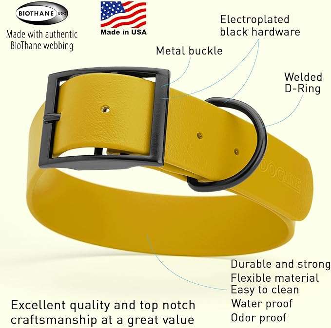 Dogline Biothane Coated Webbing Dog Collar with Black Metal Hardware: Durable Easy-Clean Everyday Collar for Dogs - Comfortable Adjustable Odor-Resistant Pet Collar, W1.5 x L16-20", Treasure Gold