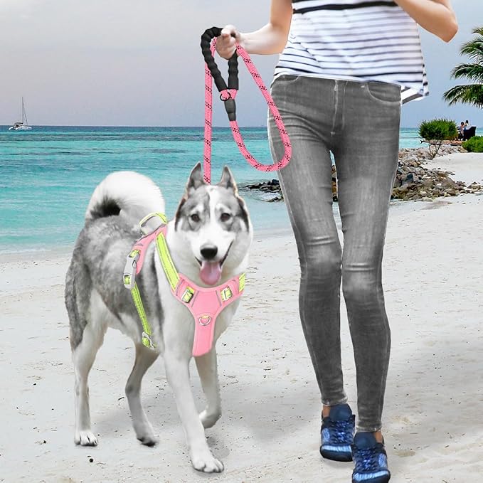 BARKBAY No Pull Dog Harness Large Reflective Dog Harness with Front Clip and Easy Control Handle for Walking Training Running with ID tag Pocket(Baby Pink & Sunlight,XL)