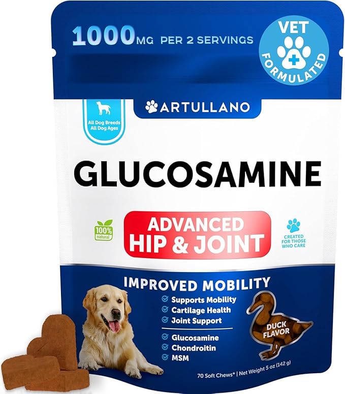 Glucosamine for Dogs Joint Pain Relief - Hemp Hip and Joint Supplement for Dogs - Chews with Chondroitin, MSM, Hemp Oil - Mobility Support - Canine Cartilage Health - 70 Soft Treats - Made in USA