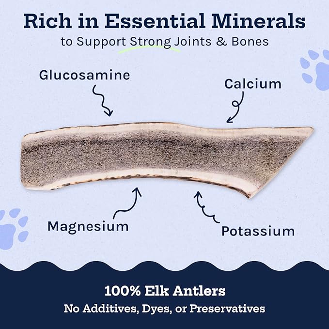 Good Trouble Premium Elk Antlers for Large Dogs – 2 Pack Split - All-Natural, Shed Antler Chews for Dental Health & Calming - Durable Dog Bones - Cruelty-Free, North American Sourced