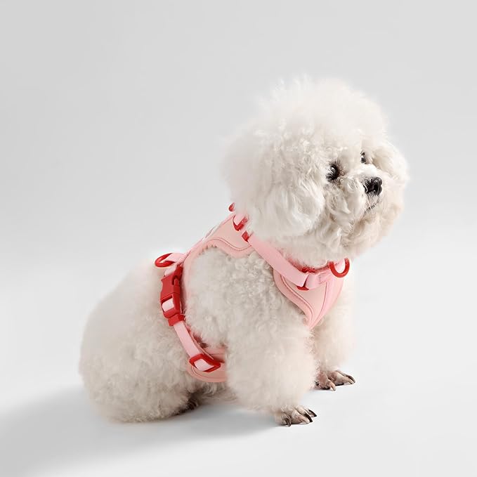 HNS1001G Arlo Small Adjustable Soft Padded No Pull Pet Harness with 3 Buckles and 3 Leash Clips, Paloma