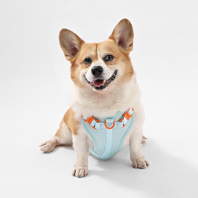 HNS1002D Arlo Medium Adjustable Soft Padded No Pull Pet Harness with 3 Buckles and 3 Leash Clips, Fishbowl
