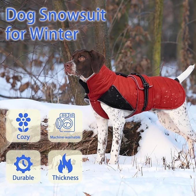 MIGOHI Warm Dog Jacket - Waterproof Small Dog Coat with Furry Collar, Windproof Dogs Fleece Vest, Reflective Cold Weather Coats for Small Dogs, Adjustable Buckle, Poodle,S,RedBlack
