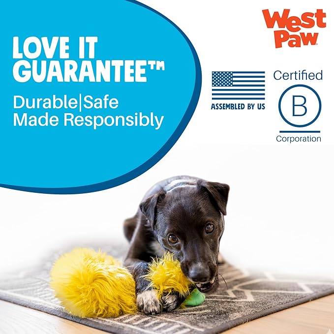 WEST PAW Rowdies Bjorn Durable Plush Dog Toy with Reinforced Seams Chew Resistant Design and Interactive Squeaker for Playtime Indoors or Outdoors Bundle for Dogs Who Deserve The Best - Melon
