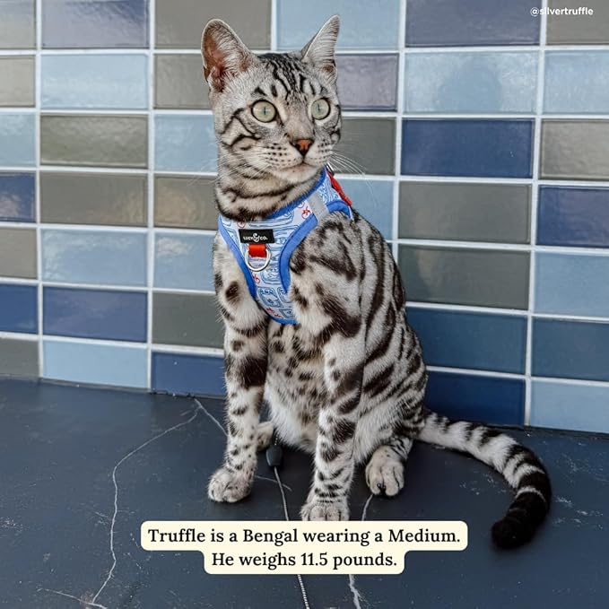Lucy & Co. Tinned Fish Step-in Cat Harness & Leash Bundle – Reflective, Breathable & Adjustable Harness for Cats, Kittens & Small Dogs, Lightweight & Secure and Dual Leash Clips – Medium