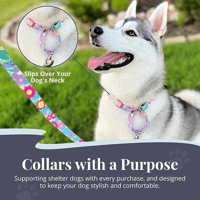 Lucky Love Dog Martingale Collar, Premium No Slip Martingale Collar for Large Dogs, Great for Whippets, Greyhounds, and More (Caroline, Large)