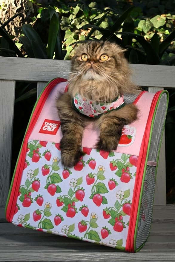 Travel Cat Strawberry Shortcake Harness & Leash Set - Adjustable Fit Mesh Cat Harness with Reflective Strap - Harness for Cats, Kittens for Outdoor (Strawberry Shortcake, Large)