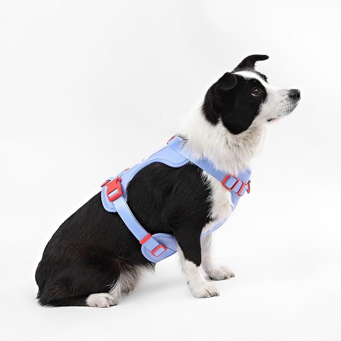HNS1003E Arlo Large Adjustable Soft Padded No Pull Pet Harness with 3 Buckles and 3 Leash Clips, Sangria