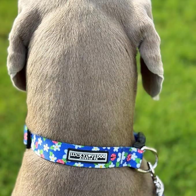Lucky Love Dog - Adjustable Dog Collar with Easy Click Buckle for Small to Large Ones, Durable, & Comfortable for Male & Female Dogs, Pet Collar for Puppies & Adult Dogs - Lilian, Large