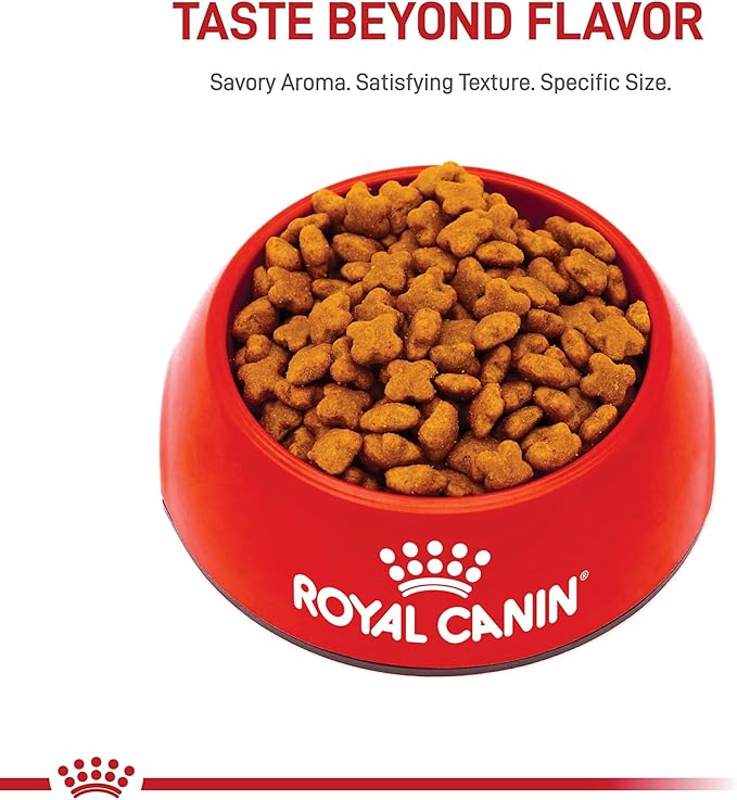 Royal Canin Breed Health Nutrition Jack Russell Terrier Adult Dry Dog Food, 10 lb Bag