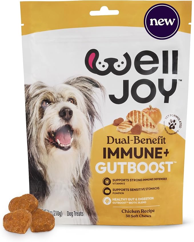 New! WellJoy Dog Treat Immune+ GutBoost | Vitamin E | Pumpkin for Sensitive Stomachs | Dual-Benefit GutBoost Formulation | Vet Formulated | USA Made | Made with Real Shredded Chicken | 30 Soft Chews