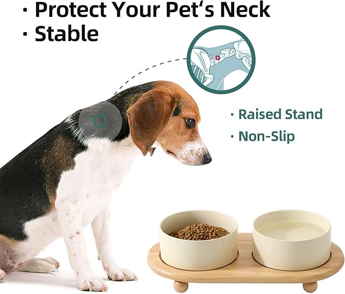 Havniva Ceramic Elevated Dog Bowls, Food and Water Bowls for Dogs, Puppy, Raised Dog Dish, Pet Feeder(6inch, 2 x Beige + Stand)
