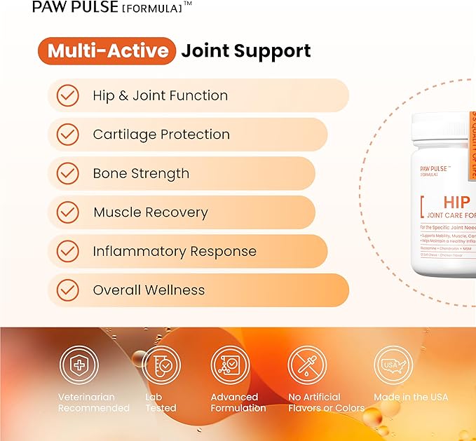 PAWPULSE FORMULA Advanced Mobility Dog Joint Supplement for Small Breeds – Hip & Joint Care, Arthritis & Pain Relief with Glucosamine, Chondroitin, MSM, Turmeric, Green Lipped Mussel – 120 Soft Chews