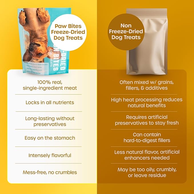 Paw Bites Freeze Dried Dog Treats - Wild Caught Salmon - Dog Food Dry Snacks - with Protein & Omega 3s - for All Breeds & Sizes - No Artificial Flavors & Dyes, No Preservatives - 1 Pouch, 4 oz