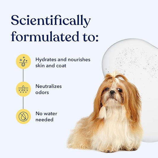 Honest Paws Dog Dry Shampoo - Waterless No Rinse Spray Formula Reducing Itch Cleanse Hydrate Nourish Dry Skin and Smelly Coat Help Decrease Odor Shedding and Allergies - Oatmeal & Lavender - 16 oz