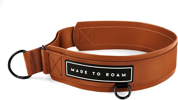 MADE TO ROAM Premium Everyday Dog Collar - Martingale Style No Pull Vegan Leather Collar, Heavy Duty and Lightweight for Small, Medium, Large Dogs (Nevada Evening, Size 9)