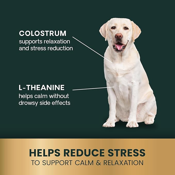 VetriScience Calm & Confident Calming Chews for Dogs, Supplement for Stress Support, Thunderstorms, Fireworks, & Travel, Bacon, Soft Chews, 120 Count - New Look