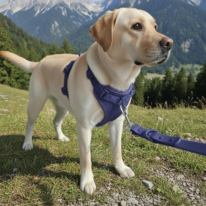 Dog Harness, No-Pull Pet Harness with 3 Leash Clips, Adjustable Soft Padded Dog Vest, Breathable Mesh Cushion for Small Medium Large Dogs (Blue, Large (Neck:20"-25" Chest 28"-41"))