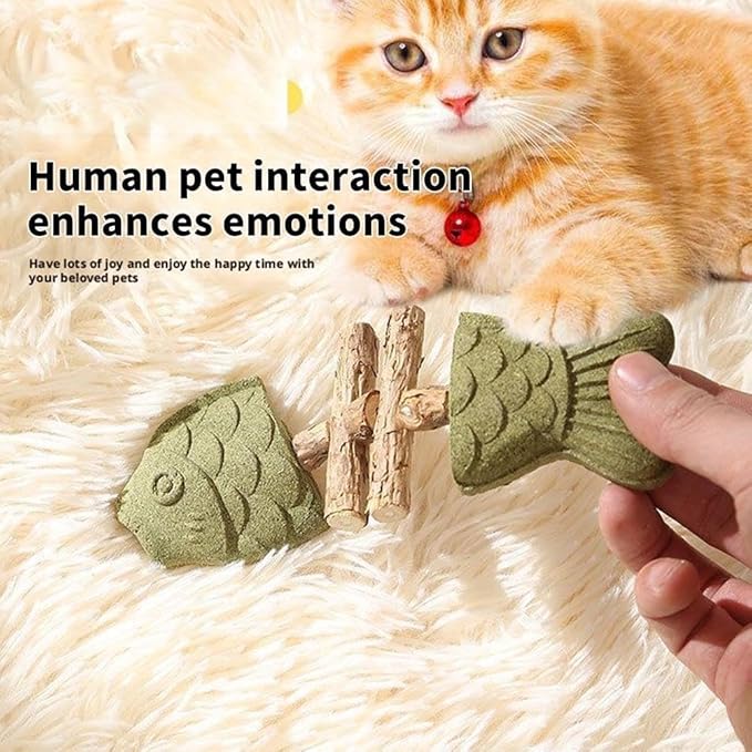 ZJUN 3 Pack Cat Chew - Fix Cat Dental Health, Catnip Toys for Indoor Cats, Natural Fishbone Cats Dental Toy, Durable Feline Tooth Care Tool, Kitten Teeth Cleaning Care Sticks, Galls Fruit