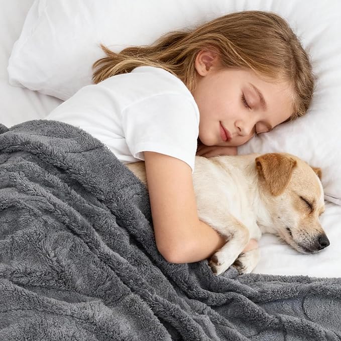 Waterproof Dog Blanket for Couch Bed– Double-Sided Washable Cat Puppy Blanket, Pet Throw Soft, Warm, Durable, Protective Furniture Cover, Grey XL(80×60)"