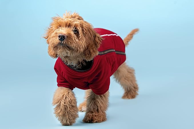 BoxDog Polar Fleece Warm Dog Jacket I Cold Weather Dog Coat | Dog Jackets Size XS, Small, Medium, Large, XLarge, XXL (X-Small, Red)