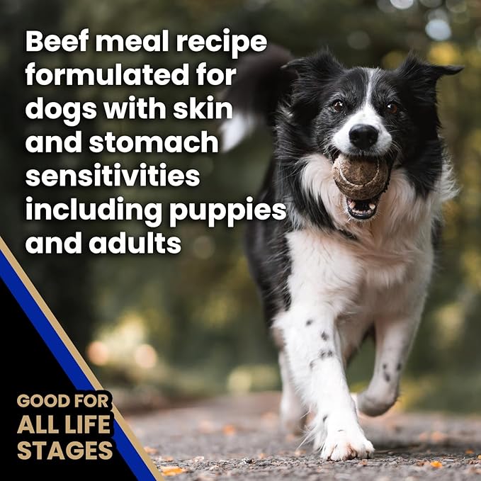 VICTOR Super Premium Dog Food — Sensitive Skin and Stomach — Beef Meal & Brown Rice Recipe Dry Kibble — Gluten Free, No Chicken, Ideal for Dogs with Allergies — Adult and Puppy Food, 30 lb